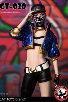 CAT TOYS CT020 Akali League of Legends LOL 1/6 Scale Figure