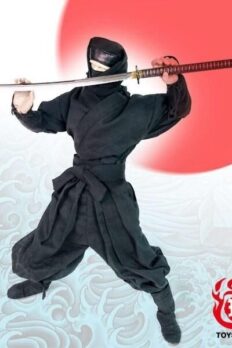 TOYSDAO TDA-01 1/6 Soldier Ninja Suit Black Red Camo Tricolor