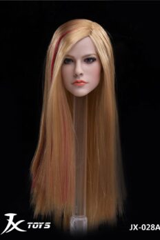 Head 1/6 Avril Lavigne - A