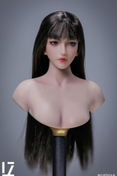 1/6 scale LZ TOYS LZ-SET016B Female Head Sculpt Brown Hair