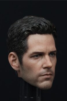 Paul Rudd Ant-man 2.0 Head Sculpt 1/6