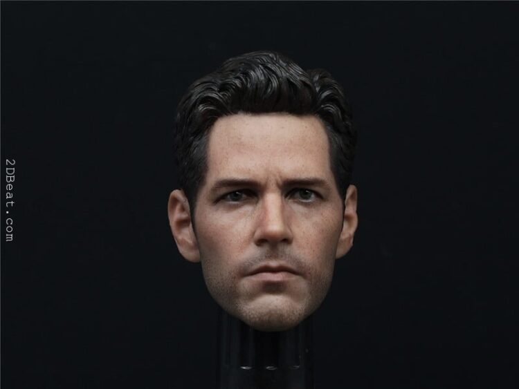 Paul Rudd Ant-man 2.0 Head Sculpt 1/6