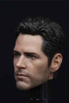 Paul Rudd Ant-man 2.0 Head Sculpt 1/6