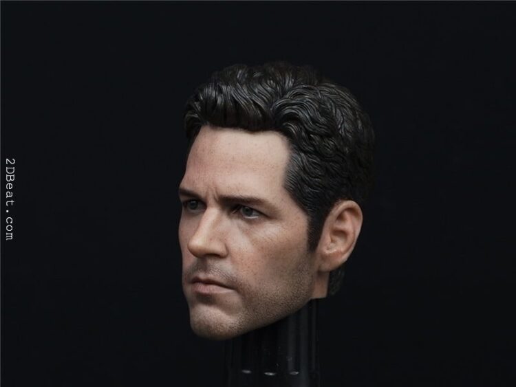 Paul Rudd Ant-man 2.0 Head Sculpt 1/6