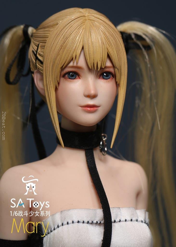Mô hình 1/6 SA Toys M001 Mdry Combat Girl Set Action Figure - Image 14