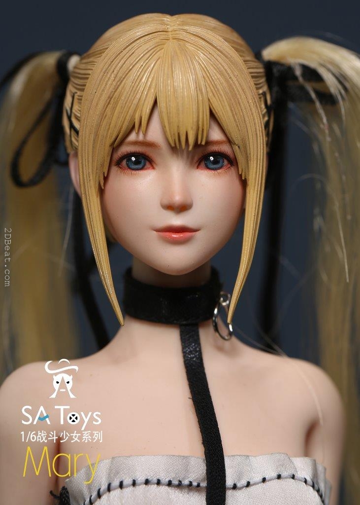 Mô hình 1/6 SA Toys M001 Mdry Combat Girl Set Action Figure - Image 13