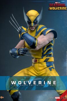 Wolverine Sixth Scale Action Figure by Hot Toys. The wolverine statue is prominently displayed, emphasizing its strength and artistic detail. Collector Edition - Prototype Shown View 1