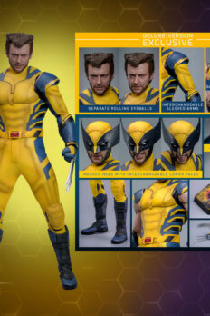 Wolverine Sixth Scale Action Figure by Hot Toys: showcasing the figure's scale along with all parts included in the deluxe version box.- Prototype Shown View 2
