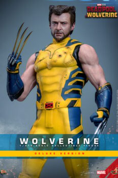 Wolverine Sixth Scale Action Figure by Hot Toys: full-body shot in damaged suit, no sleeves or mask, right arm curled with claws out.- Prototype Shown View 1
