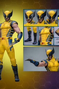 Wolverine Sixth Scale Action Figure by Hot Toys: full body view with height, close-up of box contents, and half-body action shot. Collector Edition - Prototype Shown View 2