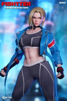 Mô hình action figure 1/6 PLAY TOY P027