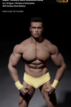 Cơ thể figure nam cơ bắp Silicone 1/6 TBleague M34 Siêu linh hoạt, liền mạch, khung thép