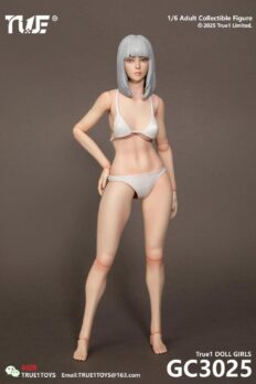 Set phụ kiện True1Toys GC3025 gồm Body khớp da trắng Pale + Head