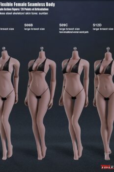 Cơ thể figure 1/6 TBLeague Body S02A/S06B/S09C/S12D da ngăm. liền mạch, khung thép 26 - 28 khớp