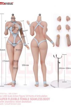 Body nữ 1/6 TBLeague SR-CD01/02 Seamless Body with Stainless Steel Skeleton Small Breast Size
