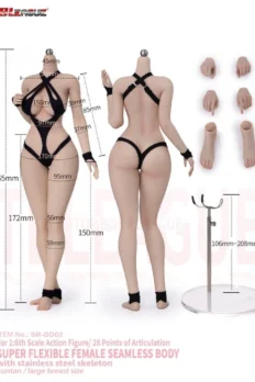 Body nữ 1/6 TBLeague SR-DD01/02 Seamless Body with Stainless Steel Skeleton Pale Big Breast Size
