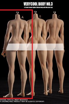 Body Silicone figure nữ tỷ lệ 1/6 VERYCOOL VCD-03A da trắng hồng