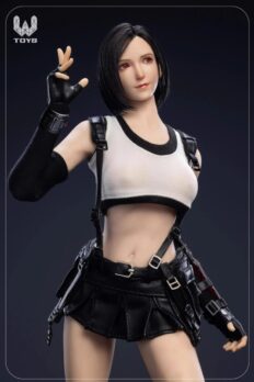 Set phụ kiện WTOYS Tifa 1/6 – Head & trang phục