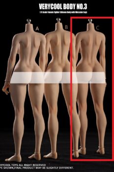 Body Silicone figure nữ 1/6 VERYCOOL VCD-03C da ngăm
